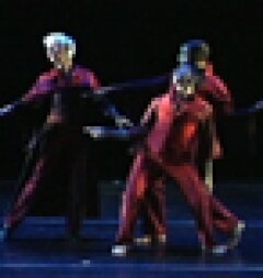 FINGER SUITE